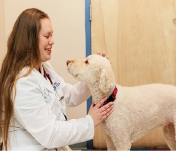 veterinarian in Fair Oaks, CA